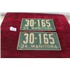 Image 1 : 2 Manitoba 1934 Licence Plates 