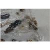 Image 8 : Large Lot Costume Jewelery 