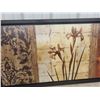 Image 2 : Brown Tone Iris Picture 42"Lx 23" W