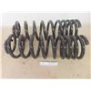 Image 1 : Rear Heavy Duty Coil Springs