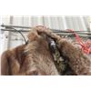 Image 1 : Hudsons Bay Fur Jacket Small Size 