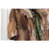 Image 2 : Hudsons Bay Fur Jacket Small Size 