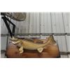 Image 1 : Mounted Walleye 28" Long