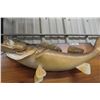 Image 3 : Mounted Walleye 28" Long