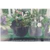 Image 4 : 2- New 5 Pack, 5 Gallon Grow Bags with Handles 