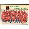 Image 1 : 1975-76 NHL TOPPS DETROIT RED WINGS