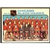 Image 1 : 1975-76 TOPPS CHICAGO BLACK HAWKS