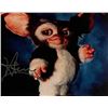 Image 1 : Gremlins Howie Mandel signed movie photo