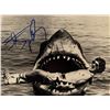 Image 1 : Jaws Steven Spielberg signed photo