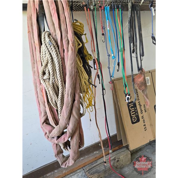 Slings (2), Rope & Bungee Cords