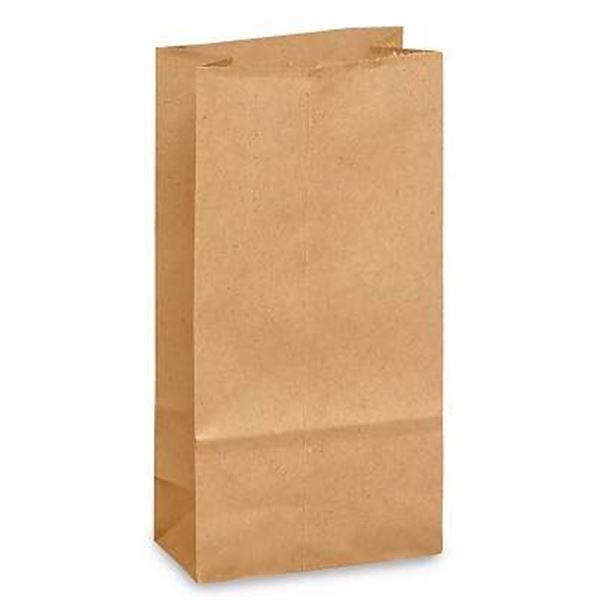 500 DD 50 1/6 BBL 50 Paper Bags, 12x7x17″