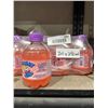 Image 2 : Chubby Bubble Gum Soft Drink Lot of 24 x 250ml Bottles