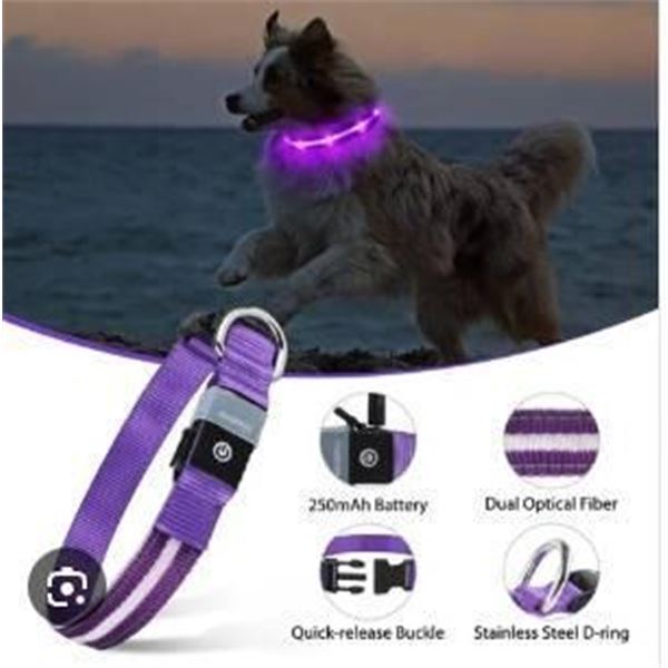 Masbrill Rechargeable LED Dog Collar with Adjustable Sizing, Small