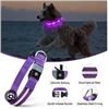 Image 1 : Masbrill Rechargeable LED Dog Collar with Adjustable Sizing, Small
