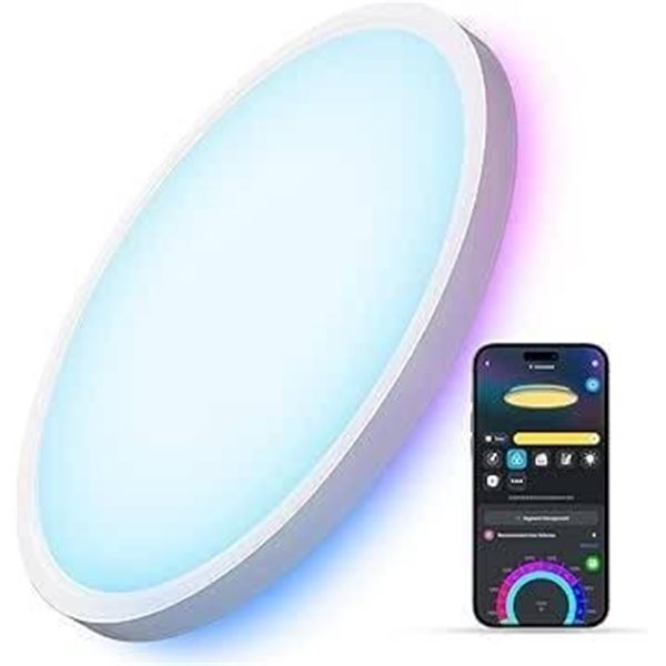 Govee Ceiling Light 2400lm 2200K-6500K 24000h Lighting Fixture