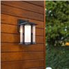 Image 1 : LUTEC Outdoor LED Wall Lantern, Craftsman Style