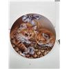Image 1 : Decorative Plate Featuring Kittens – Bradex Number 84-B10-850.3