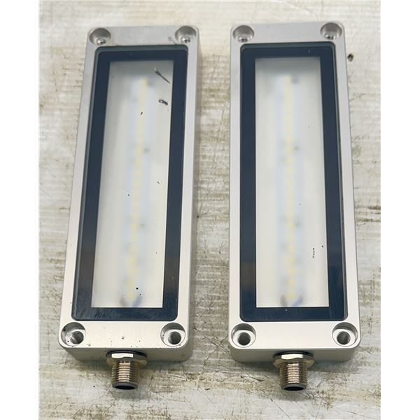 (2) Diana Electronic #LMA0743-0WW0A LEDscales
