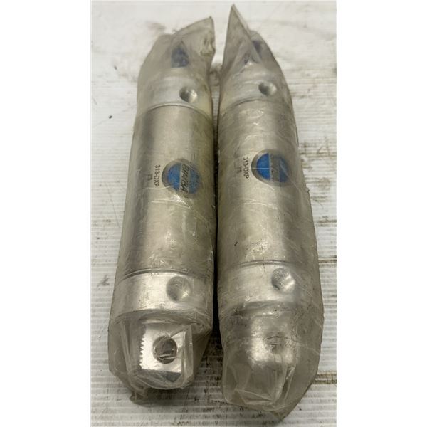 (2) Bimba #313-DXP Cylinders