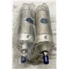 Image 3 : (2) Bimba #704-DXP Cylinders