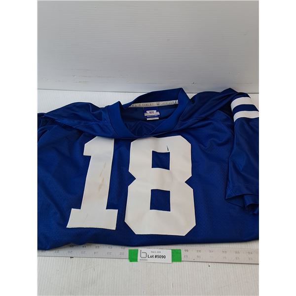 NFL Jersey- Size L