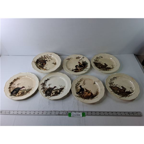 (7) Wedgwood Animal Plates, One Riser