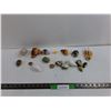 Image 1 : Lot of (17) Sea Shells