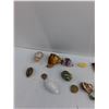 Image 3 : Lot of (17) Sea Shells