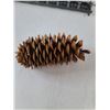 Image 9 : Long 12 Candle Holder, Festive Autumn Decor, Spruce and Maple Boards Small