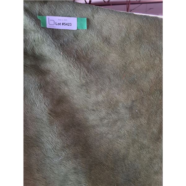 Dyed Large Green Cowhide Estimated 7' x 4'