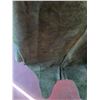 Image 5 : Green Large Cowhide Approximate 7' x 4'