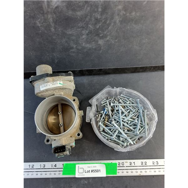 Ford Throttle Body, Screws