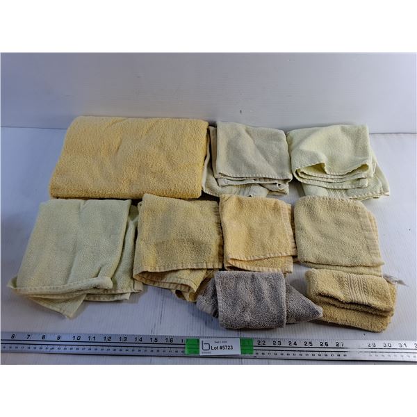(9) Bathroom Towels/Facecloths