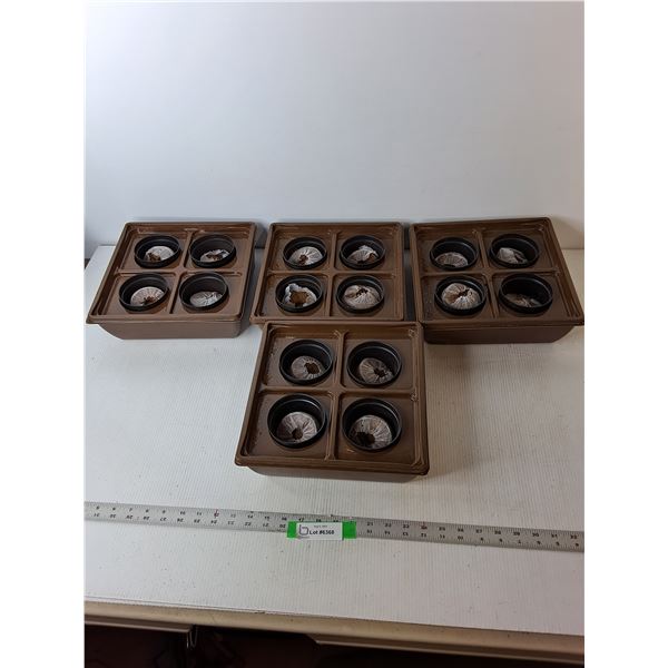 (4) Seed Starting Kits 10.75" Appear New