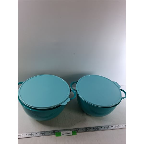 (2) Ten Litre Tupperware Containers - As Is