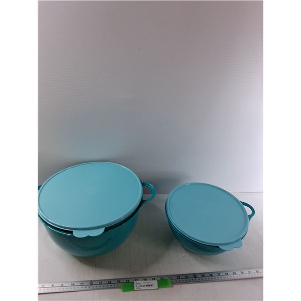 (2) Tupperware Containers 10 Litre, 4.5 Litre
