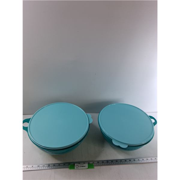 (2) 7.8 Litre Tupperware Containers