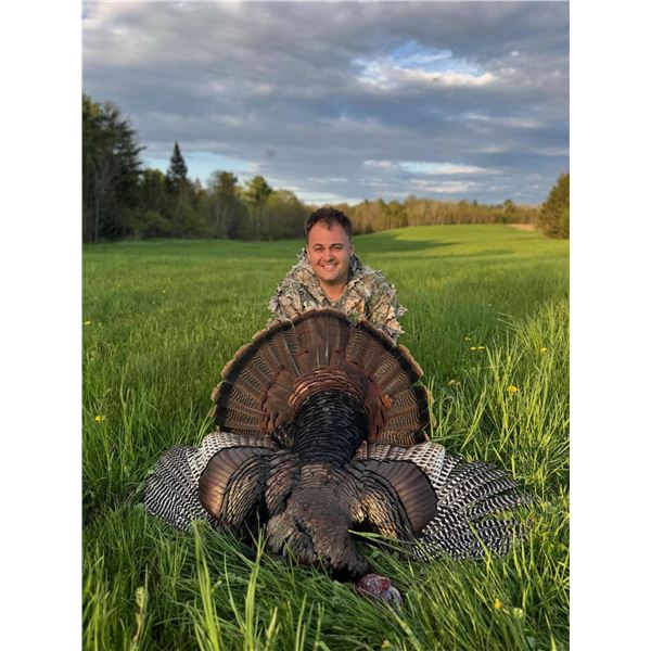 2 Day Maine Spring Turkey Hunt for One Hunter