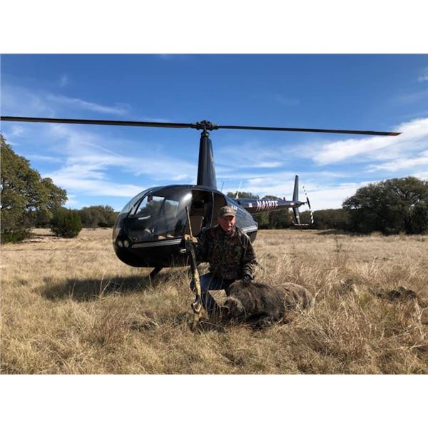 Texas Helicopter Hog Hunt for 2 Hunters