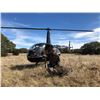 Image 1 : Texas Helicopter Hog Hunt for 2 Hunters