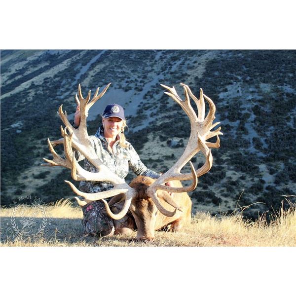 4 Day 3 Night South Island NZ Red Stag Rifle Hunt for 1