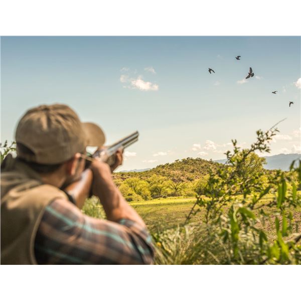 4 Day Argentina Dove Shooting Trip for 3 Hunters