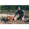 Image 1 : 6 Day South African 16 Animal Management Hunt for 4 Hunters