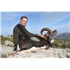 Image 2 : 3-Day Spain Iberian Mouflon Hunt for 1 Hunter