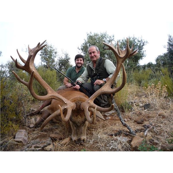 3- Day Red Stag Hunt in Spain for 1 Hunter