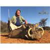 Image 3 : 6-Day South Africa Plains Game Hunt for 2 Hunters