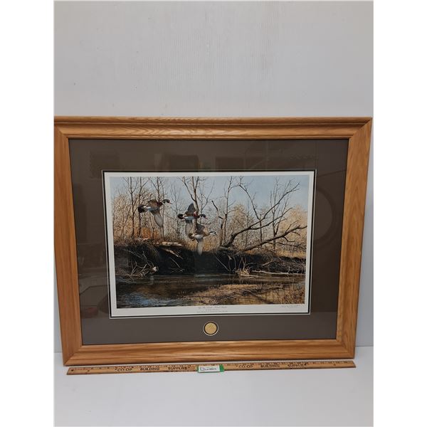 # Ducks Unlimited "Up The Creek - Wood Ducks" Print in Frame - 38" x 31" - CANNOT SHIP