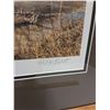 Image 4 : # Ducks Unlimited "Up The Creek - Wood Ducks" Print in Frame - 38" x 31" - CANNOT SHIP