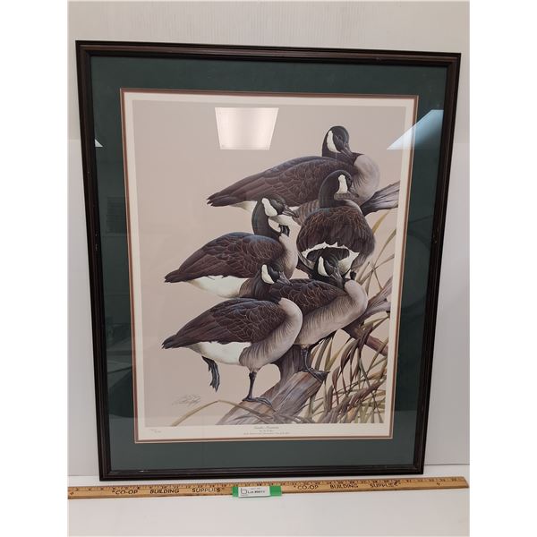 Ducks Unlimited "Gander Mountain" Print in Frame - 28" x 35" - CANNOT SHIP