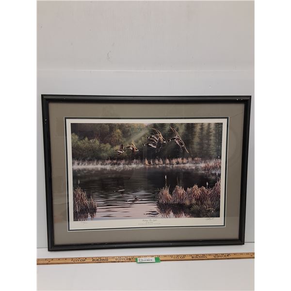 Ducks Unlimited " Riding the Light" Print in Frame - 32" x 25" - CANNOT SHIP
